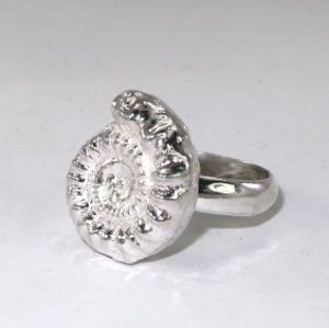 Silver Ammonite ring